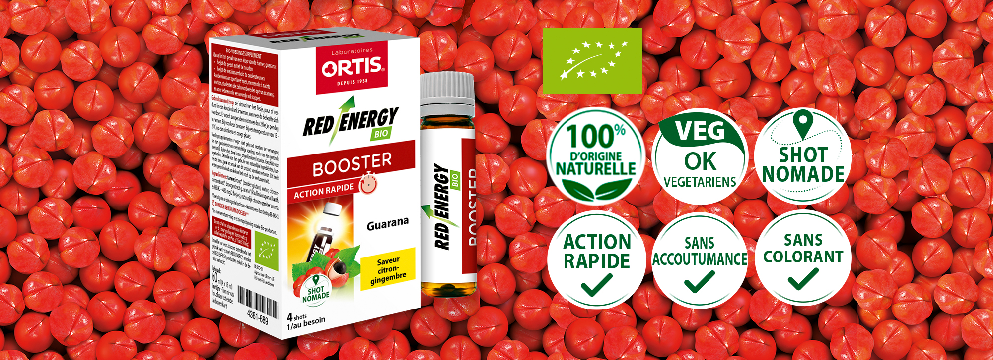 RED_ENERGY_AVEC_PICTOS_BEL_fr
