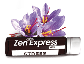 SHOT_ZEN EXPRESS 